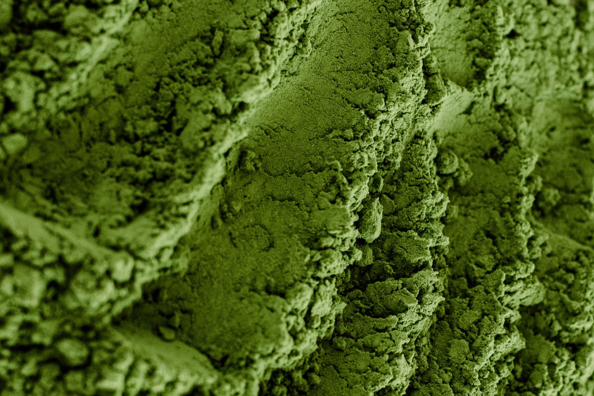 The Best Ceremonial Matcha for Beginners: What to Look For