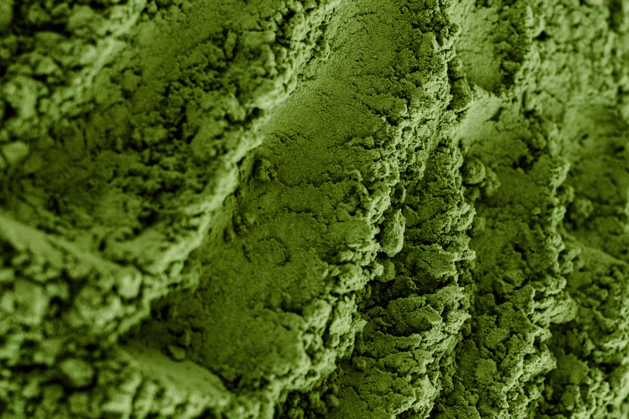 The Best Ceremonial Matcha for Beginners: What to Look For