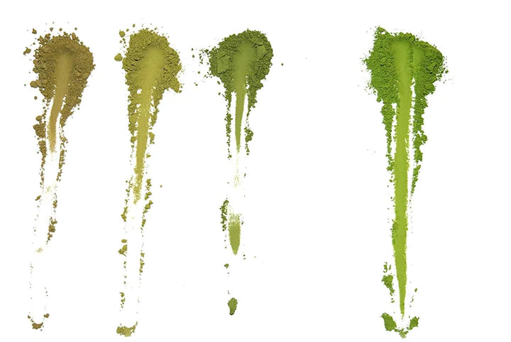Leaf Gif